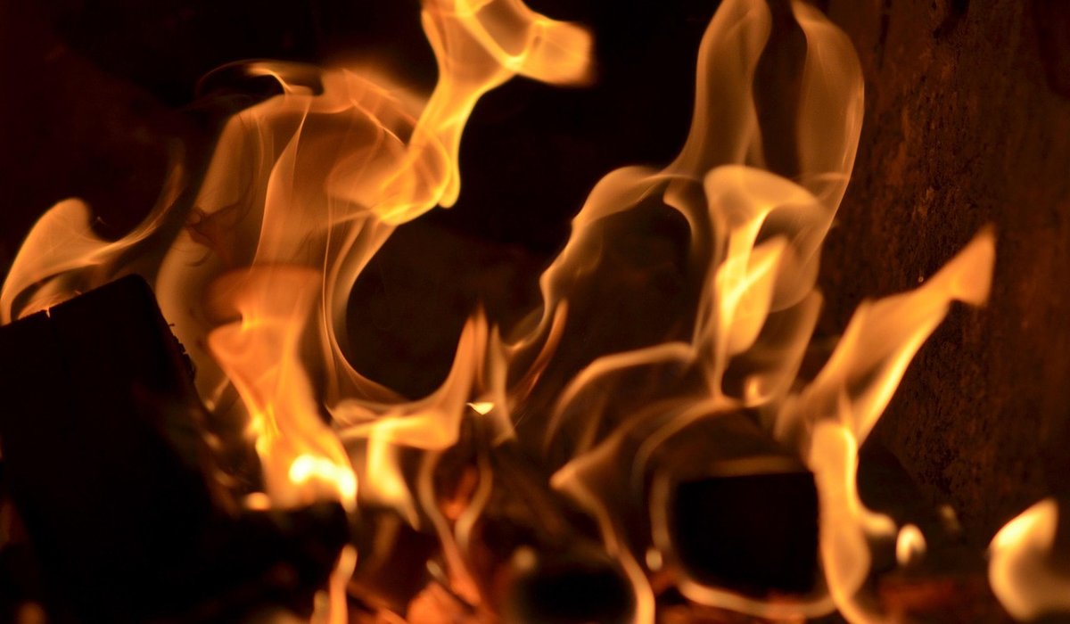 Comparing seasoned logs and kiln dried firewood
